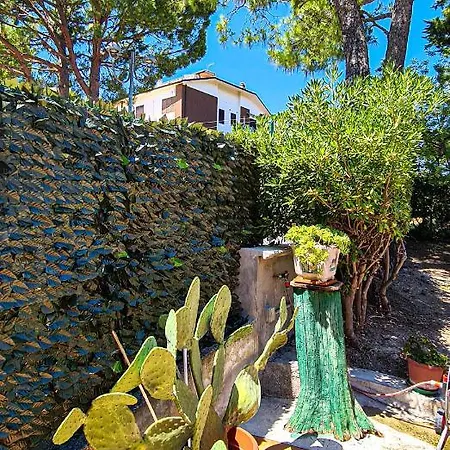 Casa Vacanze Mirella 아파트 *
